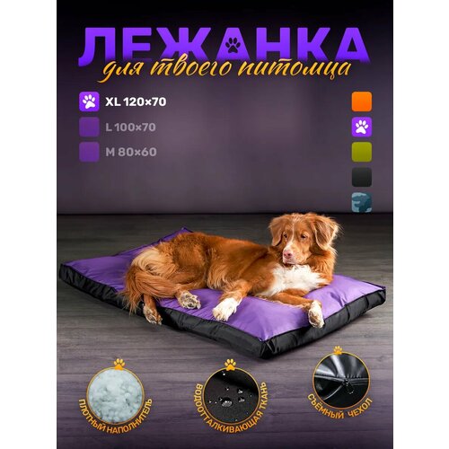 Лежанка прямоугольная антивандальная для крупных собак и кошек 100*70 см Фиолетовый / черный