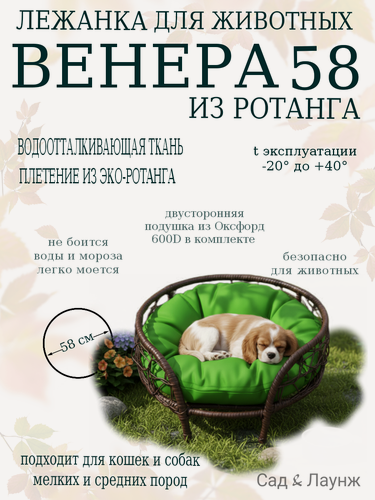 Изображение товара Лежанка «Венера Ø 58 см» для кошек и собак коричневая: ротанговое плетение, бортики, подушка зелёная