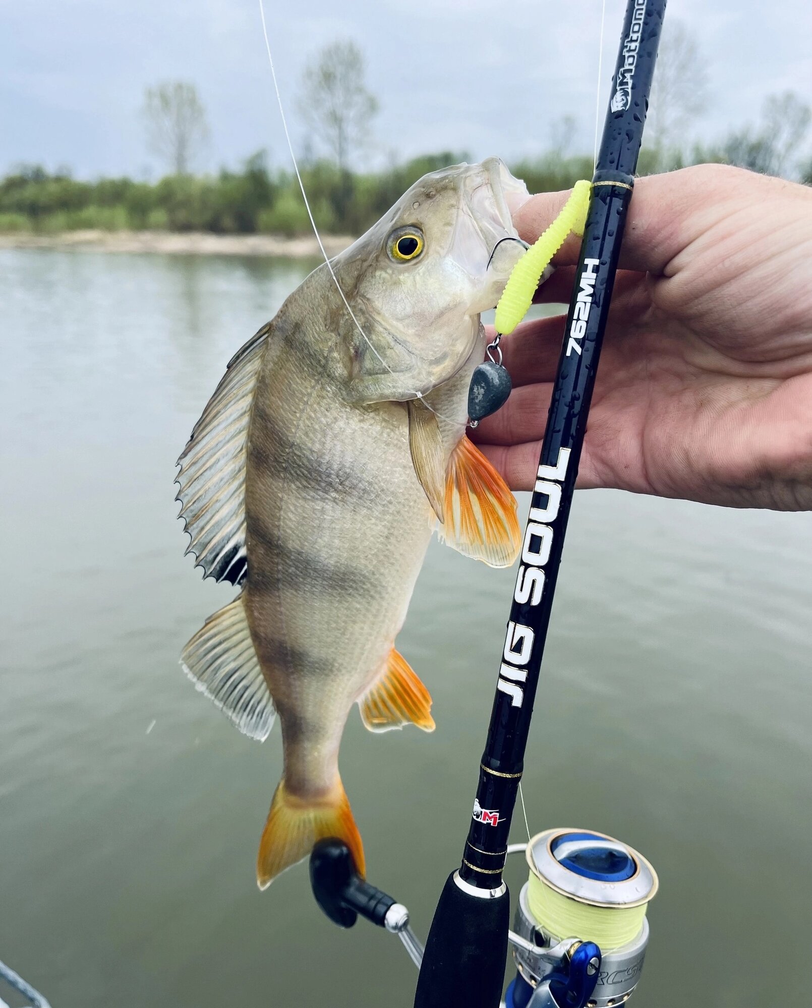 Плетёный шнур Sunline SIGLON PEx4 Dark Green 300m #1.7/30lb, с плотным плетением, с силиконовым покрытием — фото 1