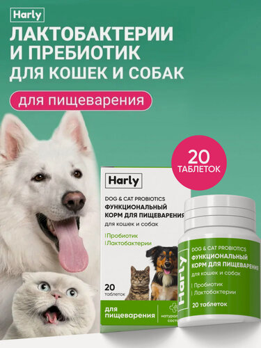 Изображение товара Пробиотик для собак и кошек лактобактерии для профилактики жкт, витамины для животных 20 шт. в упаковке