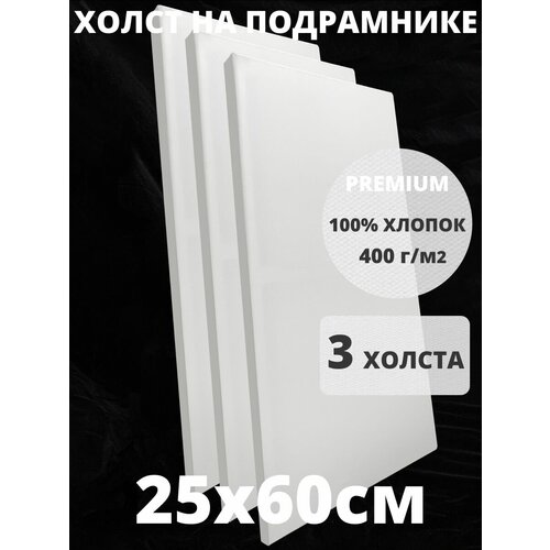 Холст на подрамнике грунтованный 25х60 см, плотность 400 г/м2 для рисования 3 шт