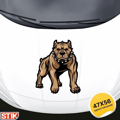 Наклейки на автомобиль большие 