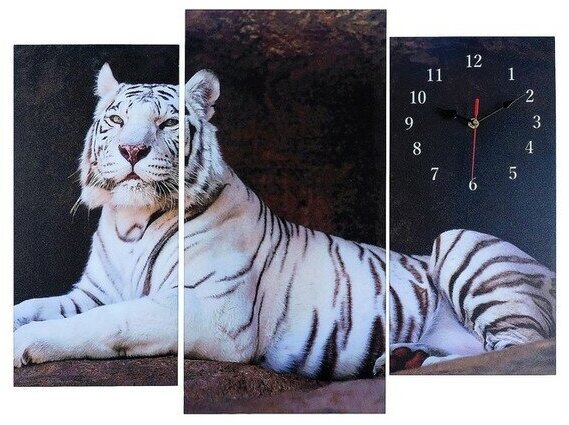 Часы настенные модульные Белый тигр, 60 ? 80 см 2045076 .