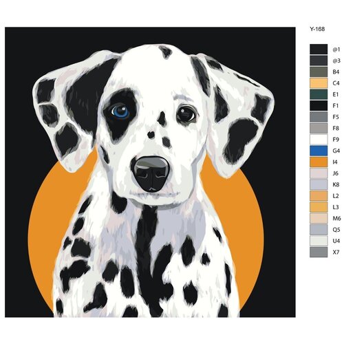 Картина по номерам Y-168 Далматинец - щенок с гетерохромией. Собака 40x40