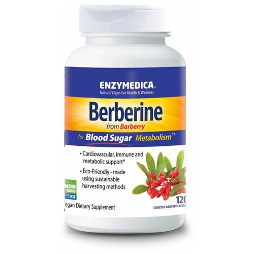 Купить Enzymedica Berberine 120 caps / Энзаймедика Берберин Общее укрепление организма 120 капс, male