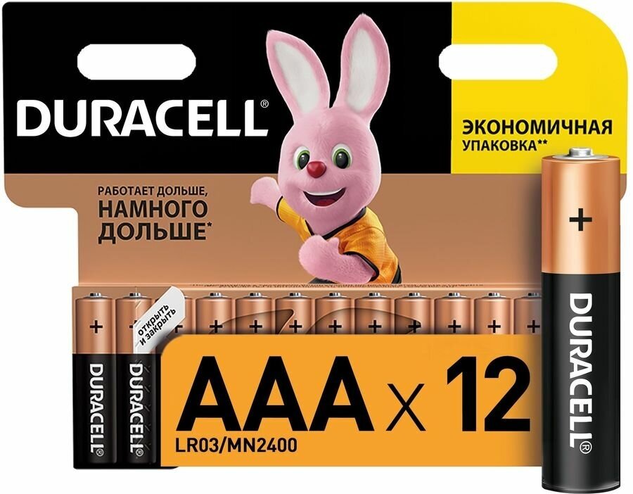 Батарея Duracell Basic LR03-12BL MN2400 AAA (12шт)