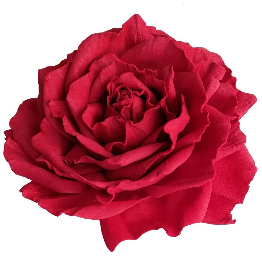 Цветок заколка брошь роза красная 180012