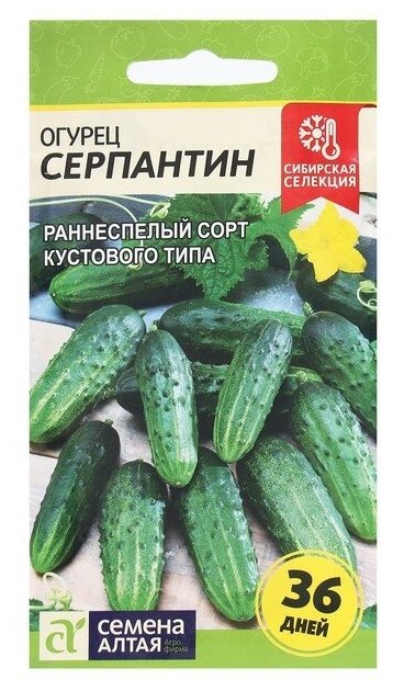 Семена Огурец 