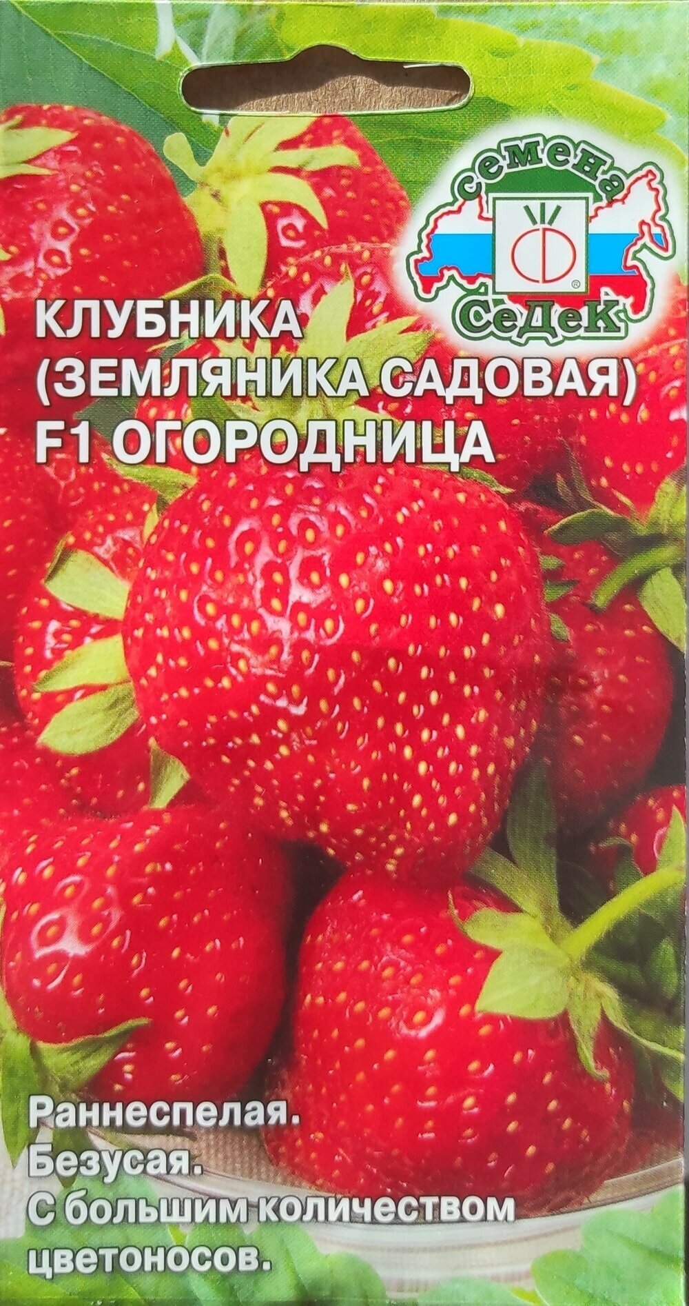 Семена Клубника F1 ОГОРОДНИЦА (раннеспелая ремонтантная земляника) СеДеК 15 шт.