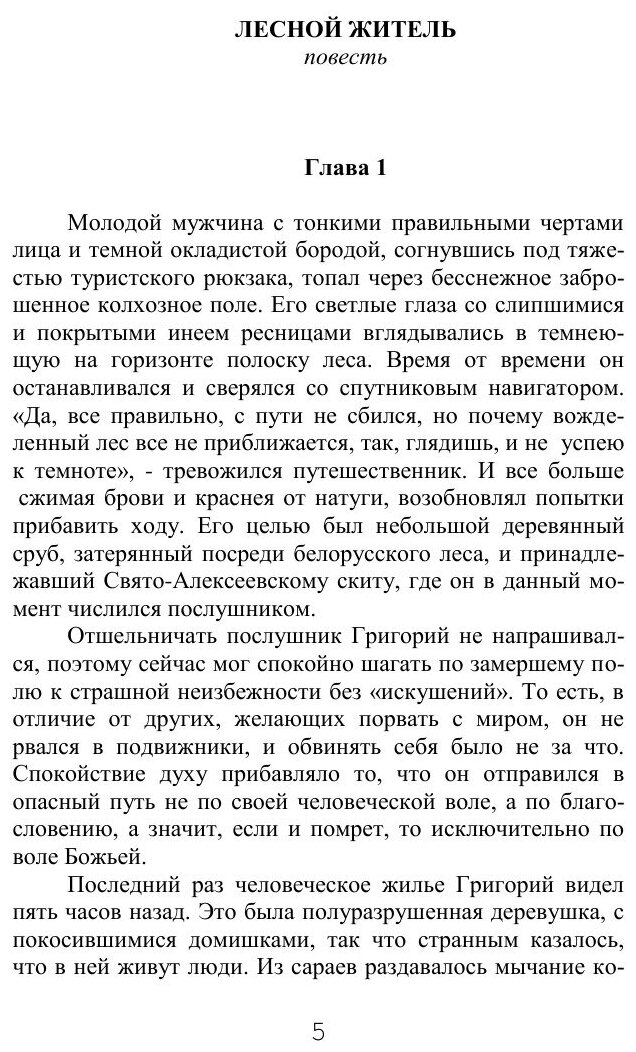 Книга Милый Белый Свет (Шаманская Юлия Валерьевна) - фото №4