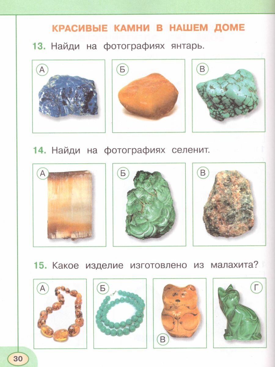 Плешаков. Окружающий мир. Тесты. 1 класс /Перспектива - фото №6