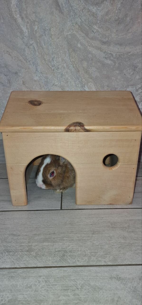 Домик для кроликов, грызунов из массива сосны - фотография № 1