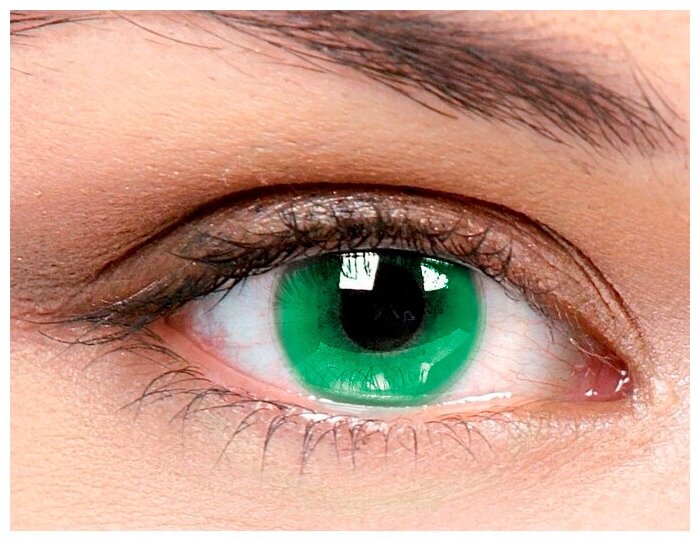 Цветные контактные линзы Офтальмикс Butterfly 1-тоновые (2 линзы) -5.50 R 8.6 Green(зеленый)