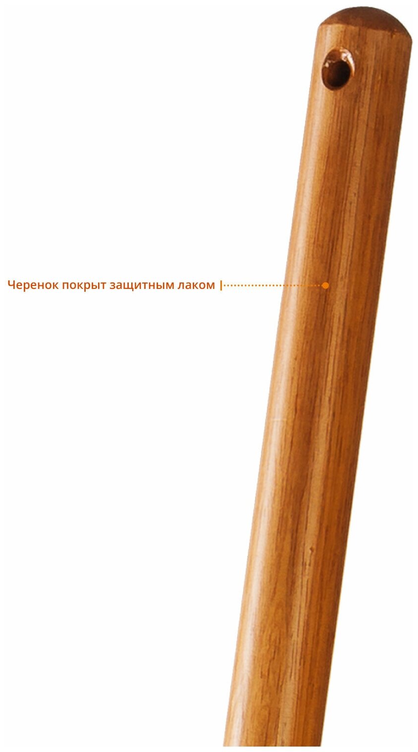 ЗУБР Лопата Профи-10 совковая, деревянный черенок, Профессионал 39361_z02 - фотография № 3