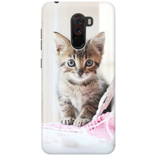 фото Cиликоновый чехол на xiaomi pocophone f1 / сяоми покофон ф1 с принтом "милый котенок" gosso