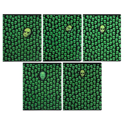 Полотняно-Заводская Бумажная Мануфактура Тетрадь Инопланетный гость, 9441945, клетка, 1 шт., микс