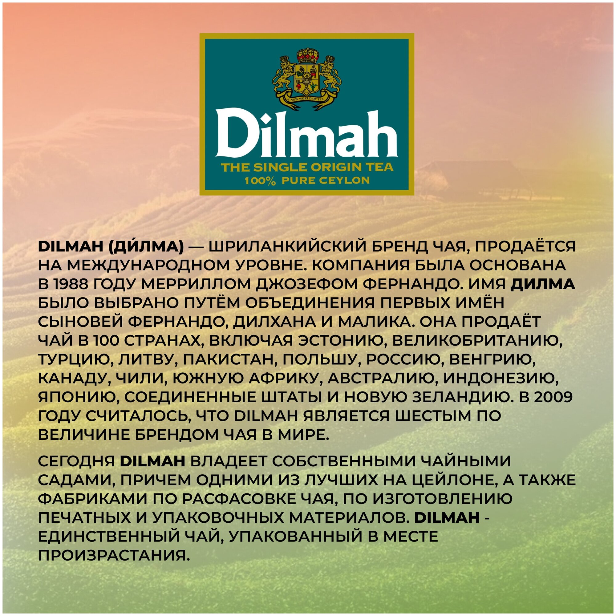 Чай Dilmah Цейлонский, черный, крупный лист, 250г, 1 уп. - фотография № 5