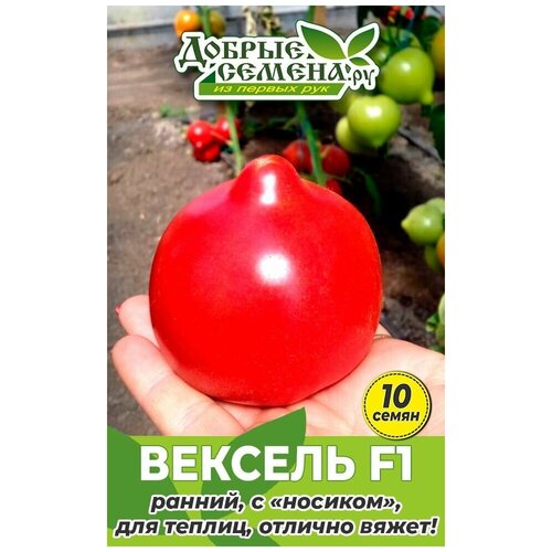 Семена томата Вексель F1 - 10 шт - Добрые Семена. ру