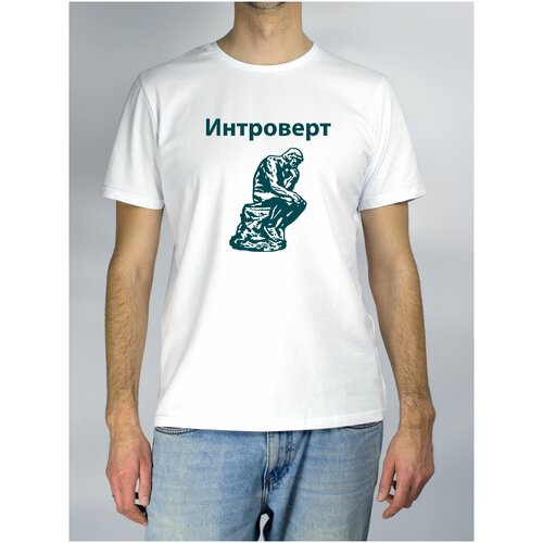 фото "интроверт" - футболка мужская с надписью (черный / 50 / 72) metaformatt