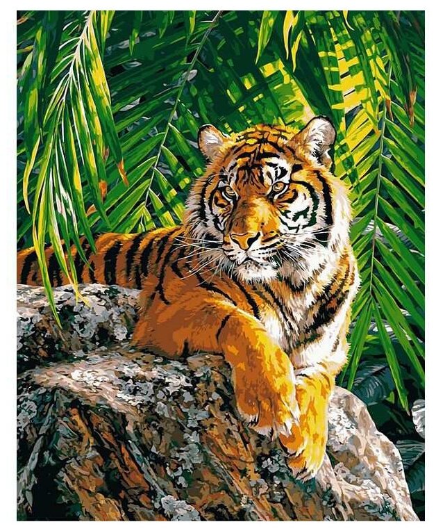 Paintboy Картина по номерам Тигр в джунглях (GX8306) — купить в  интернет-магазине по низкой цене на Яндекс Маркете