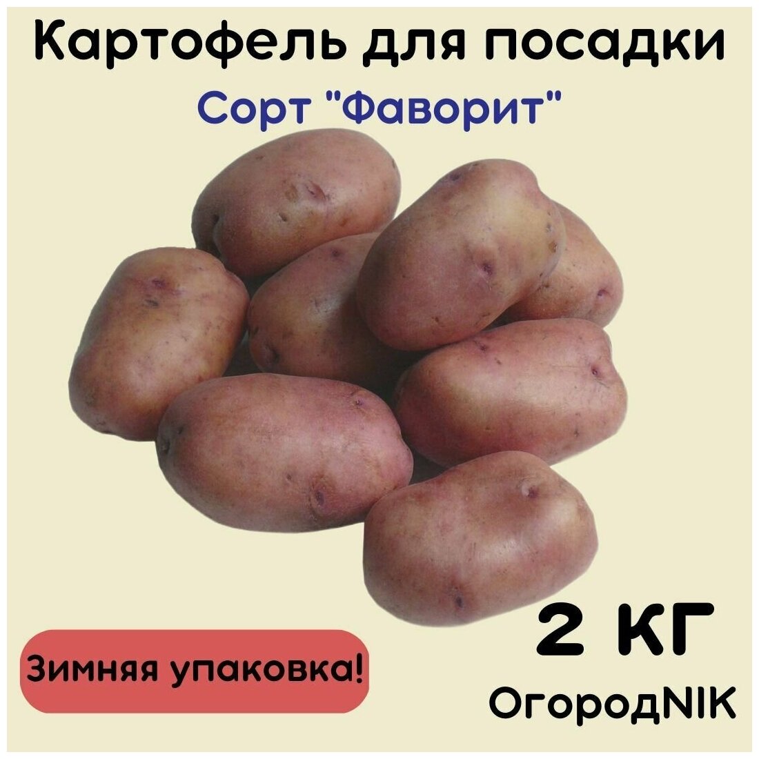 Картофель семенной Фаворит, цена 500 руб. купить в Ремонтном