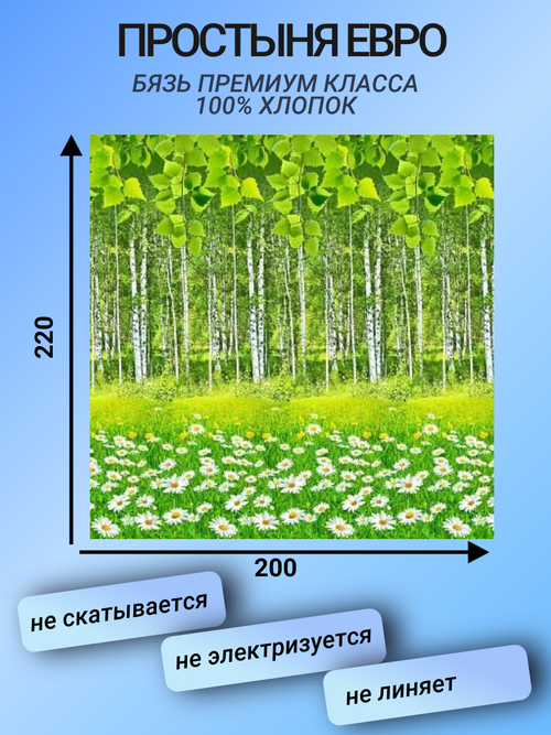 Простыня евро (200х220) 