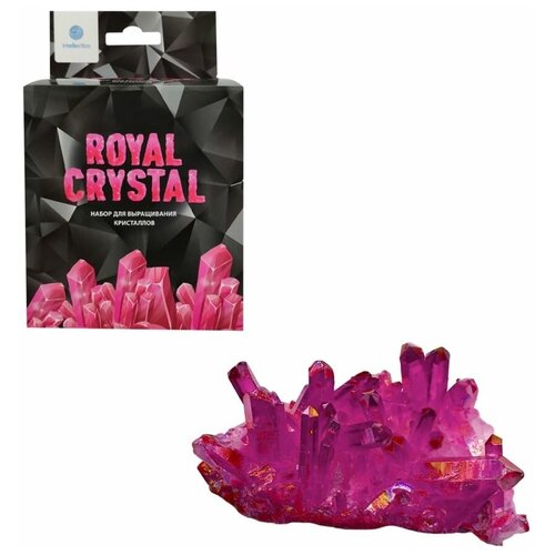 Набор для опытов Intellectico Royal Crystal выращивание кристаллов набор для исследований intellectico royal crystal 1 эксперимент желтый