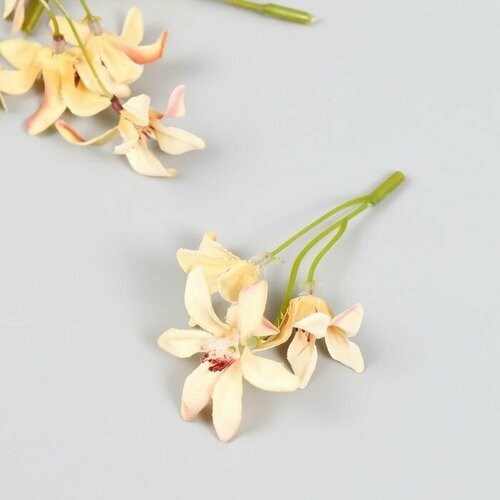 Цветы для декорирования Лилейник ванильный 8,5 см, 5 шт.