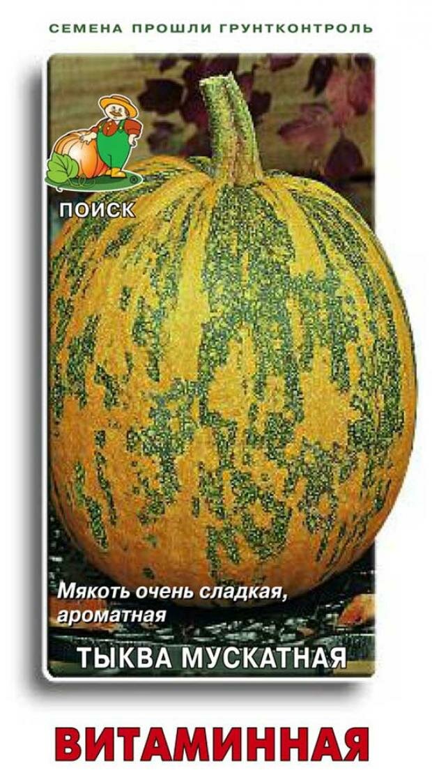 Семена Тыква Витаминная мускатная 10шт Поздние (Поиск)