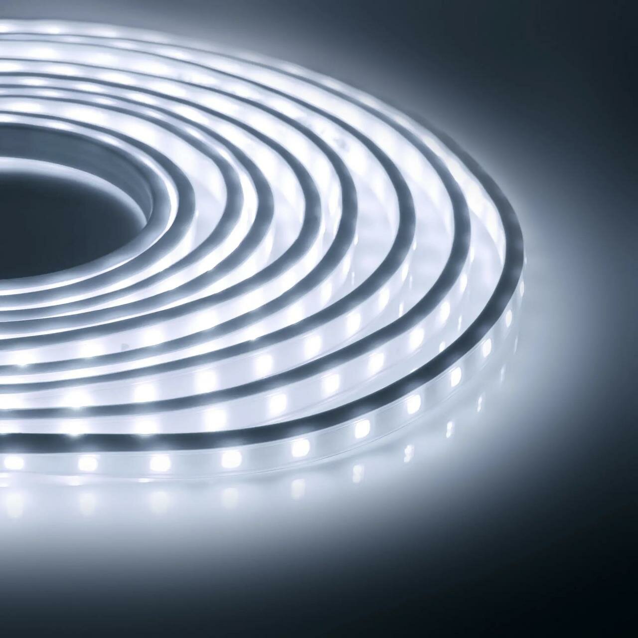 SL-55 Комплект светодиодной ленты 220В 6Вт м smd2835 60д м IP54 600Лм м ширина подложки 10мм