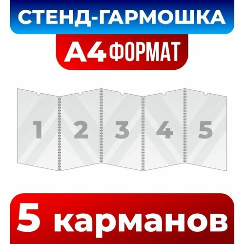 Папка-передвижка на 5 ячеек для листов А4 (210х297 мм), 1 мм , Velar