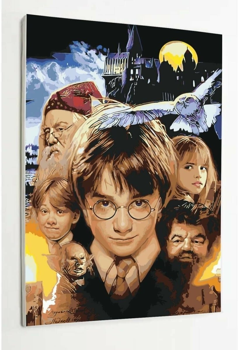 Картина по номерам на холсте с подрамником, Гарри Поттер, Harry Potter, С друзьями, 40х60 см