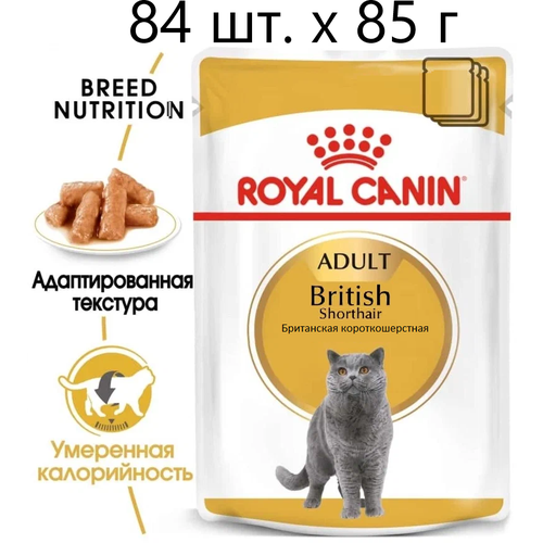 Влажный корм для кошек Royal Canin British Shorthair Adult, для взрослых кошек породы британская короткошерстная, 84 шт. х 85 г (кусочки в соусе)