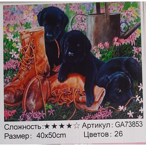 алмазная мозаика на подрамнике 40х50 четыре хаски собаки Алмазная мозаика на подрамнике 40х50, Собаки (Щенки)