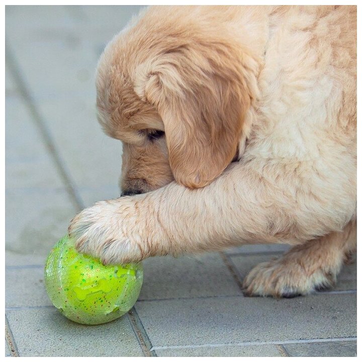Игрушка для собак"Мяч теннис-косточки 2 в 1",TPR+винил,7,5 см, прозрачная/желтая неон Пижон 7883207 . - фотография № 8