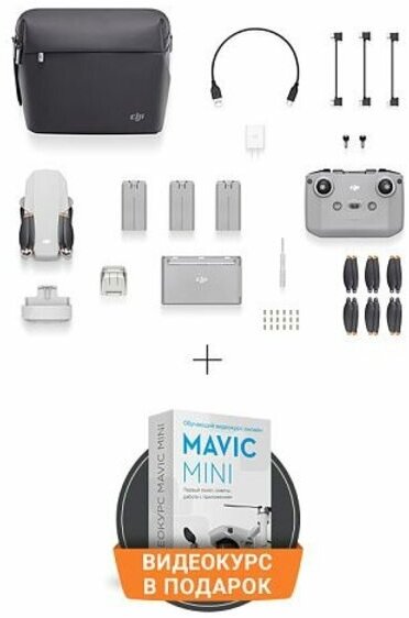 Квадрокоптер DJI Mini 2 Fly More Combo