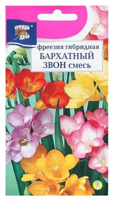 Семена цветов Фрезия гибридная "бархатный звон" смесь 004 г