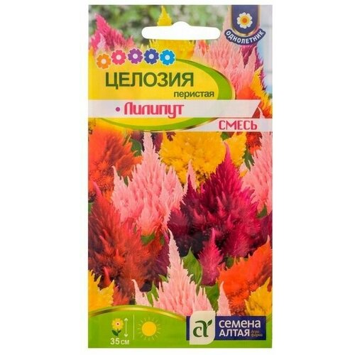 Семена цветов Целозия Лилипут смесь перистая цп, 0,1 г 10 упаковок целозия глориас ред перистая 10шт одн 25см поиск семена профи 10 ед товара