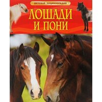 Ирина Владимировна Травина. Лошади и пони. Детская энциклопедия