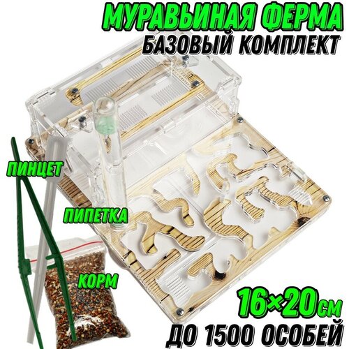 Средняя муравьиная ферма 