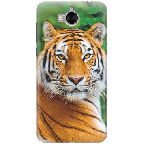 RE: PA Накладка Transparent для Huawei Y5 2017 с принтом Портрет тигра re pa накладка transparent для huawei p10 plus с принтом портрет тигра