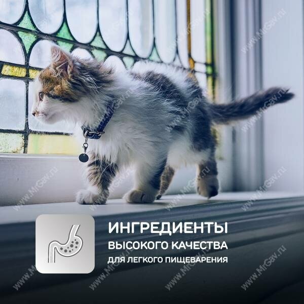 Сухой корм для кошек Hills Science Plan Healthy Development
Kitten Chicken 0,4 кг HILL'S - фото №10