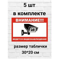 Табличка "Ведется видеонаблюдение" 300х200мм