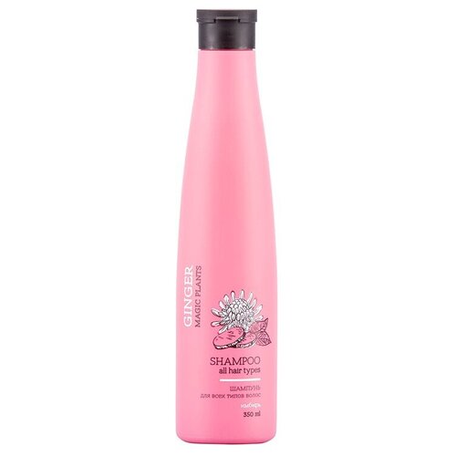 Loren Cosmetic шампунь Ginger Имбирь для всех типов волос, 350 мл