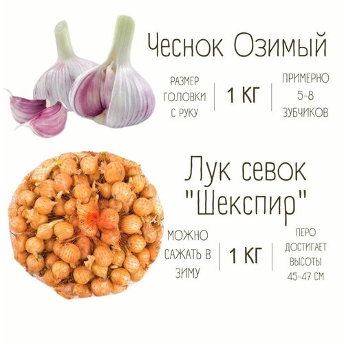 Набор Чеснок Озимый и Лук севок 1 кг набор лук севок 0 5 кг и чеснок озимый 0 5 кг