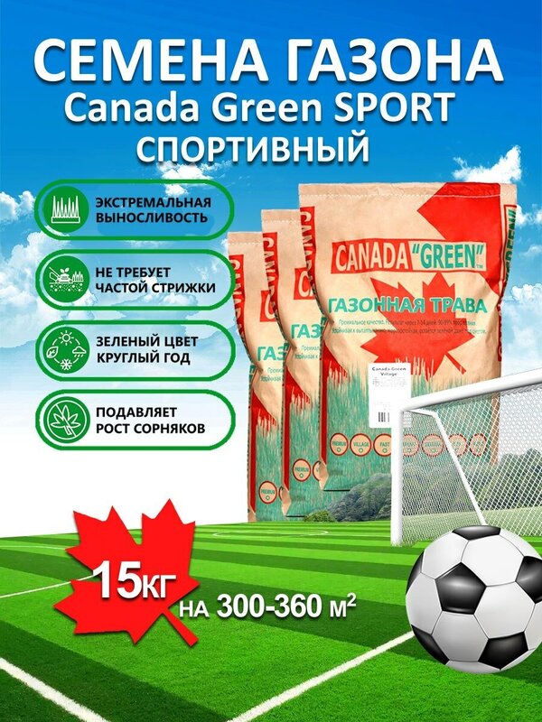 Газонная трава семена Канада Грин Спортивный SPORT 15 кг/ мятлик, райграс, овсяница семена для газона/3 шт