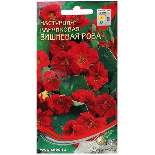 Семена цветов Настурция карл Вишневая Роза, 8 шт 4 упаковки семена настурция вишневая роза 1 г