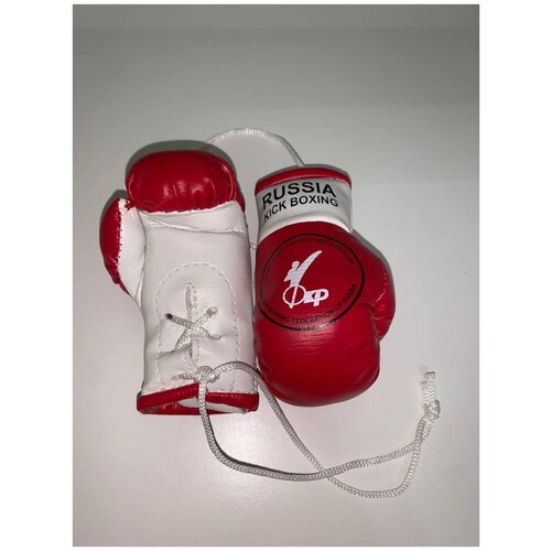 Сувенирные перчатки Russia Kick Boxing ФКР (6*9см) - Puncher - серебристый - 6*9 см