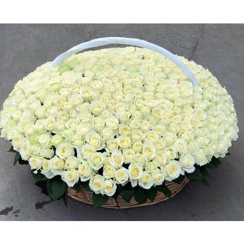 Роза белая премиум в корзине 501 шт, красивый букет цветов, шикарный, цветы премиум.