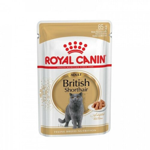 Влажный корм для кошек Royal Canin для британских короткошерстных 6 шт. х 85 г (кусочки в соусе) royal canin dry food for adult british shorthair cat 4kg